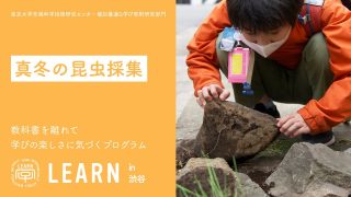 LEARN in 渋谷 2022『真冬の昆⾍採集 ＠東⼤先端研』<br>2023年2月25日