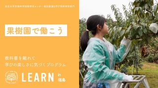 LEARN in福島県『果樹園でアルバイト体験をしてみよう！働いた後に手に入れるりんごはいくつか？』『果樹園でいつもと違う視点で子育て作戦会議』<br>2024年10月18日