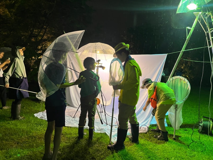 夜のライトトラップ（對龍山荘）