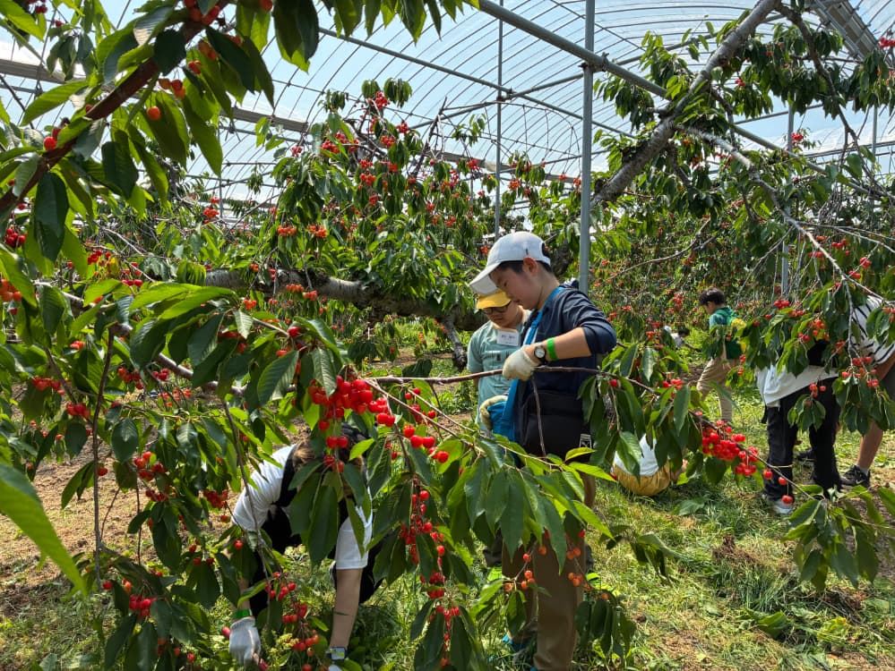 LEARN with NITORI 2025@余市町2