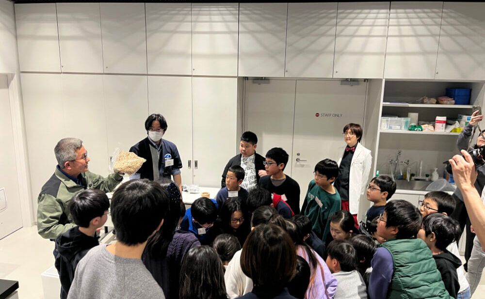 LEARN in 港区 科学館プログラム「氷を溶かすな！」2