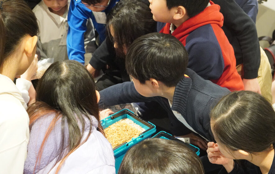 LEARN in 港区 科学館プログラム「氷を溶かすな！」3